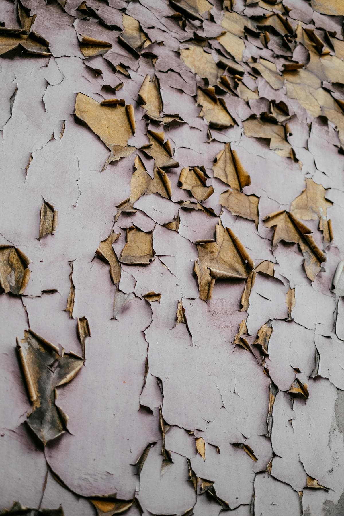 How Sacramento Heat Damages Exterior Paint